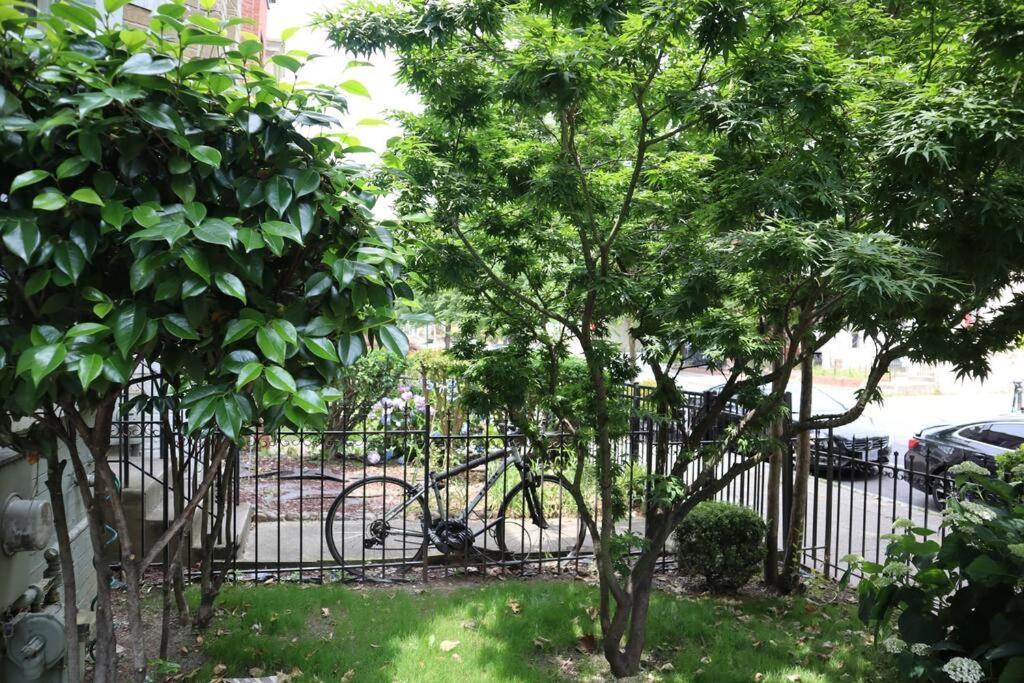 וושינגטון 3-Bedroom House With Cute Patio Explore Dc On Foot מראה חיצוני תמונה